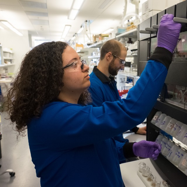 Woman working in a lab